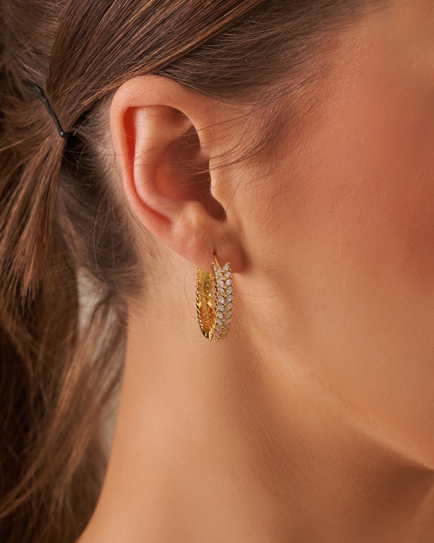 Round zircon Earrings