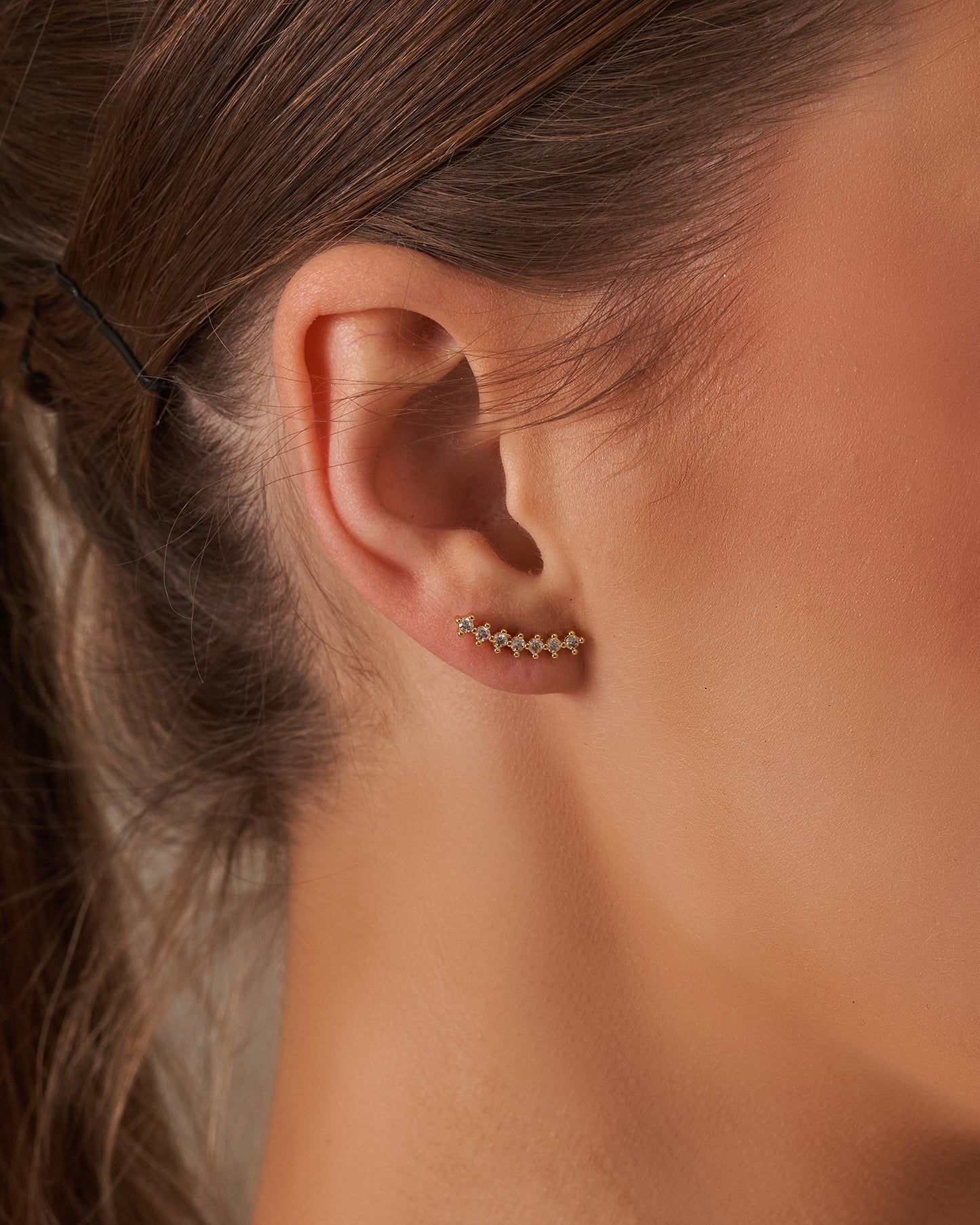 Earrings (Pair)
