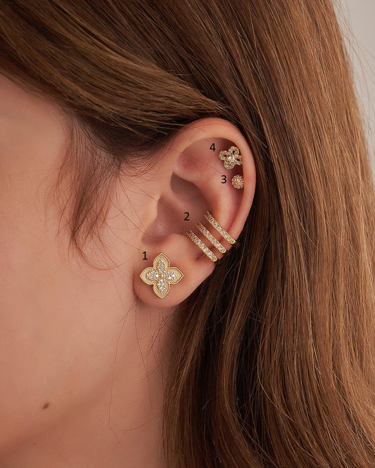 Earrings & Ear cuffs