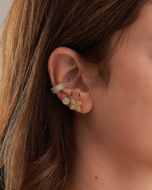 Earrings & Ear cuffs