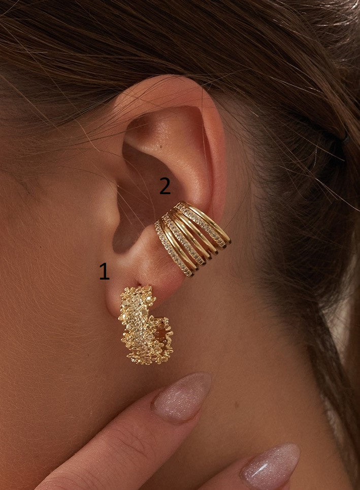 Earrings & Ear cuff