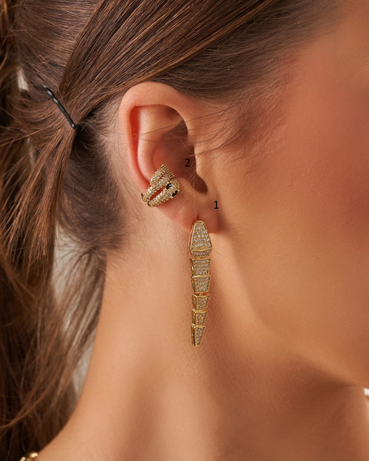 Earrings &Ear cuff