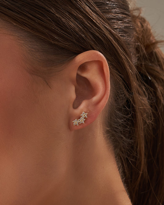 Stud Earrings (Pair )