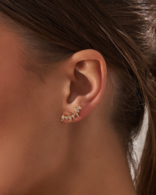 Stud Earrings ( Pair )