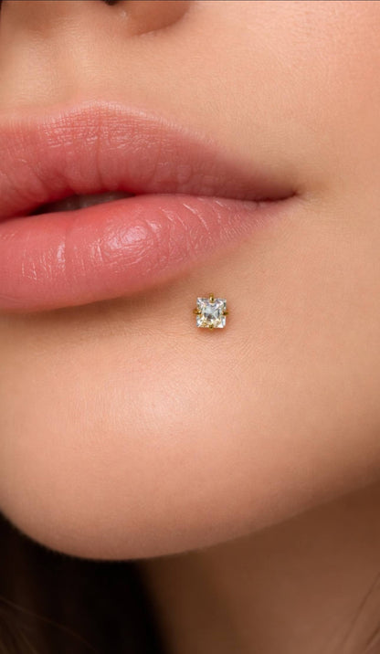 Titanium Lip Piercings