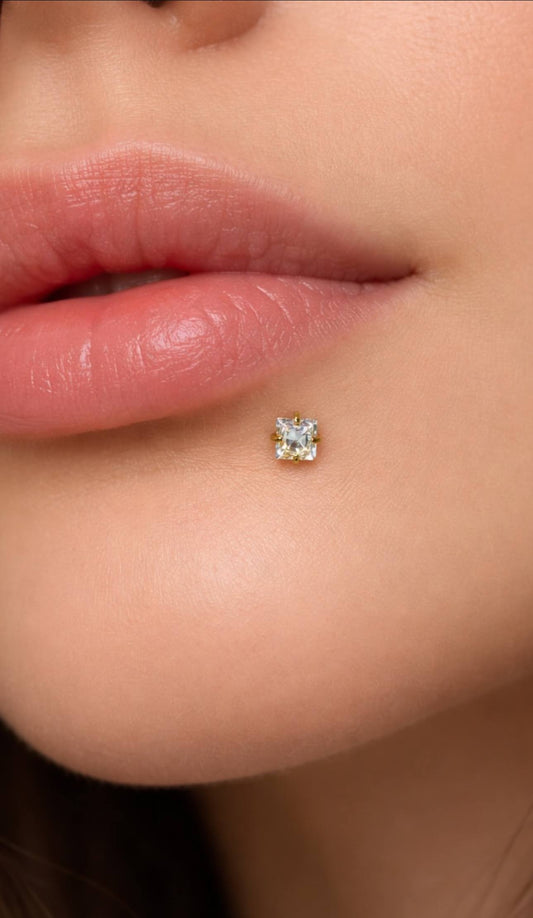 Titanium Lip Piercings