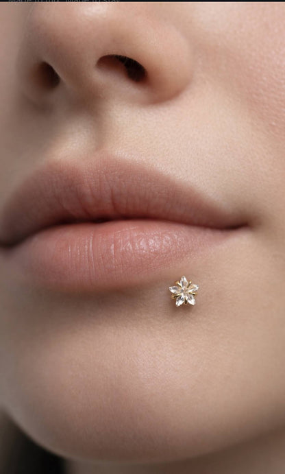 Titanium Lip Piercings