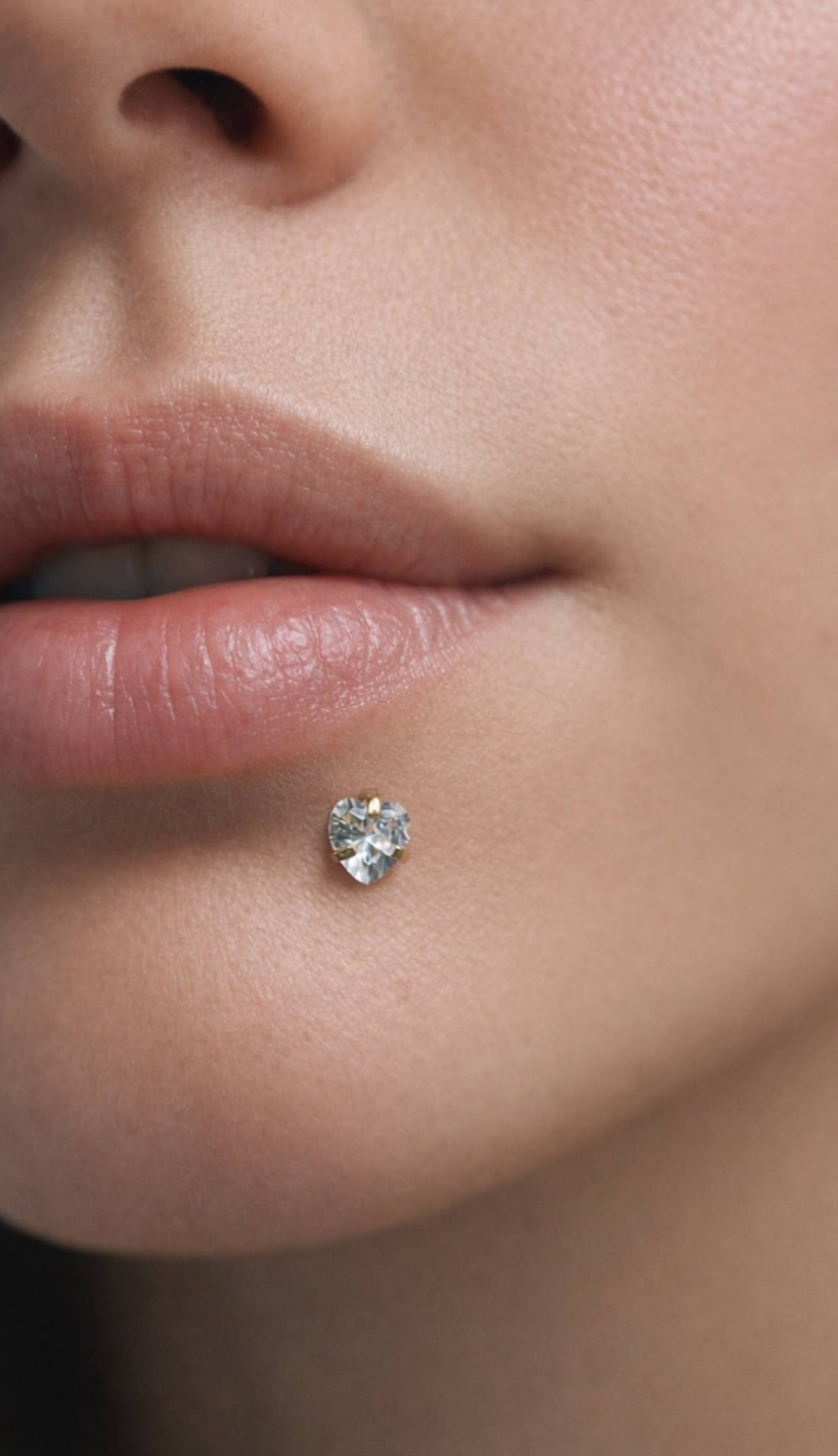 Titanium Lip Piercings